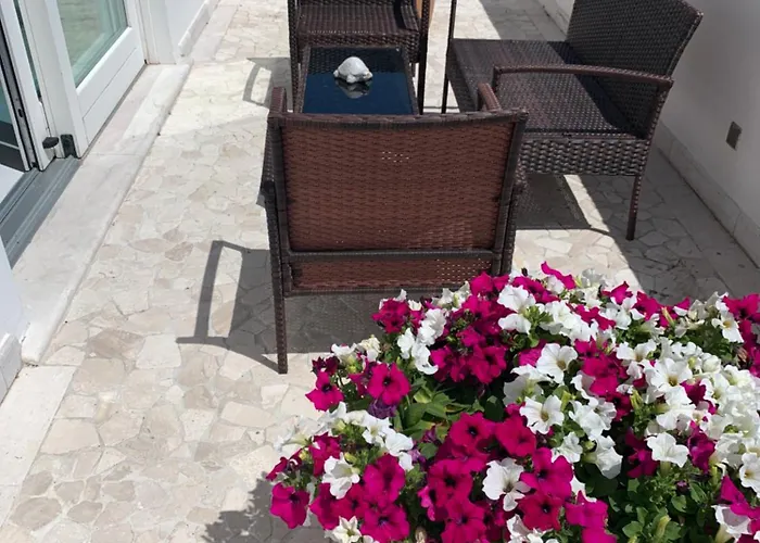 White House Luxury Hospitality אולביה