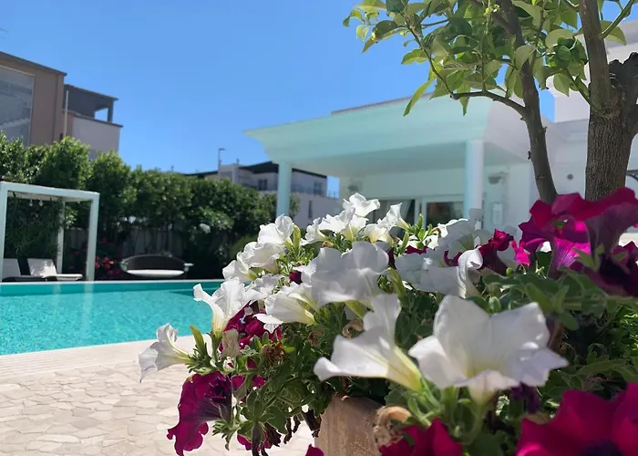 White House Luxury Hospitality