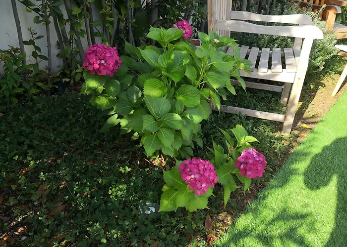 White House Luxury Hospitality Affittacamere