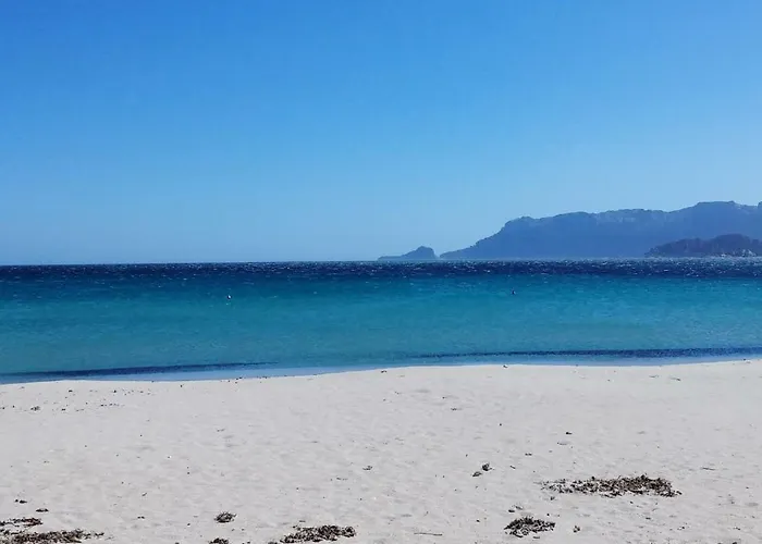 White House Luxury Hospitality Affittacamere Olbia