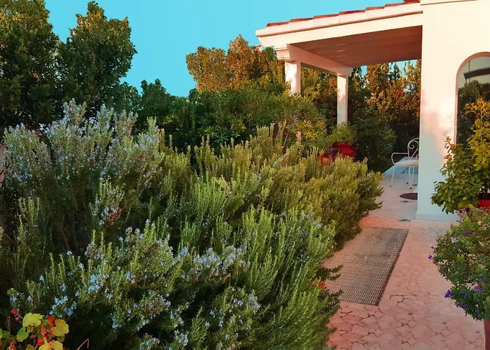 בית הארחה White House Luxury Hospitality 4*