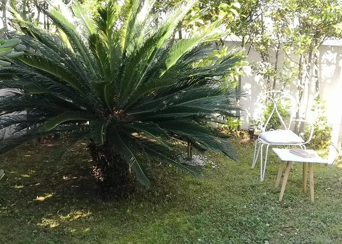 White House Luxury Hospitality 4* אולביה