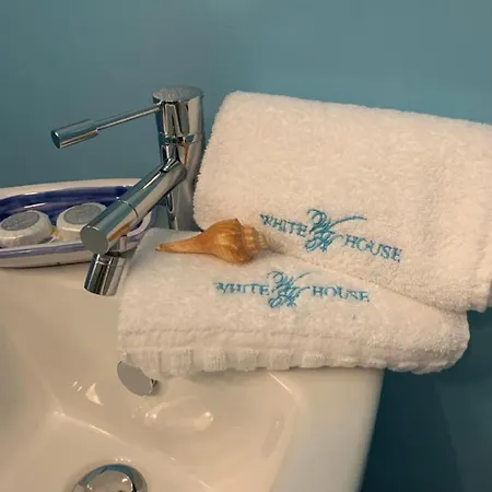 White House Luxury Hospitality 2* Όλμπια