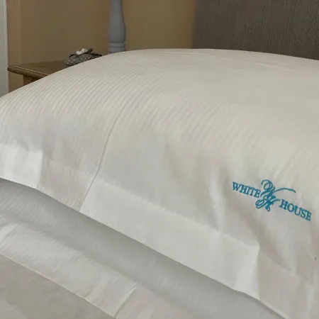 White House Luxury Hospitality 2* Όλμπια