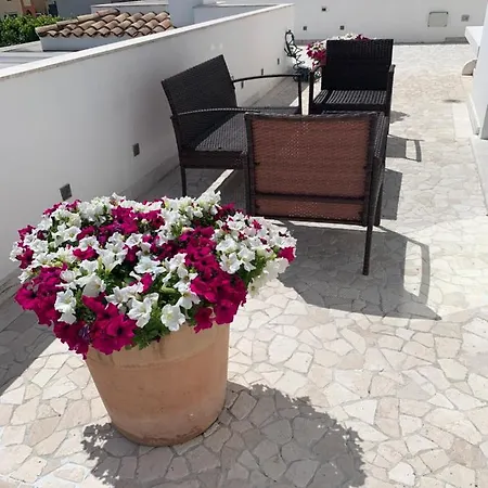 White House Luxury Hospitality 2*