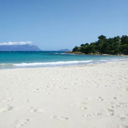 White House Luxury Hospitality 4*