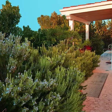 Guest house White House Luxury Hospitality 2*