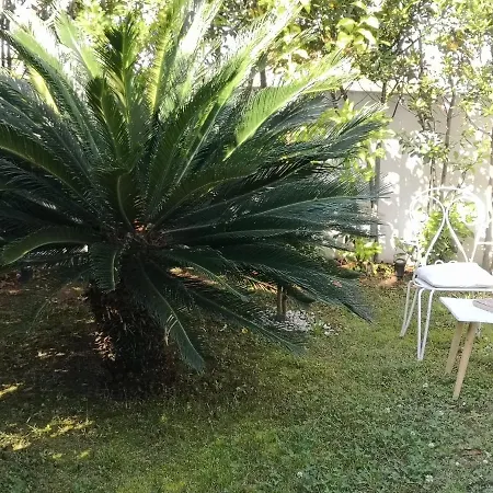 White House Luxury Hospitality 4* Olbia