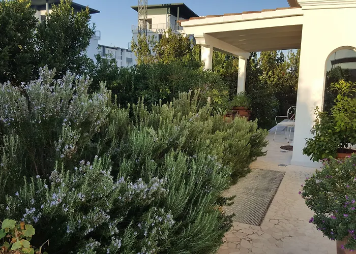 White House Luxury Hospitality 4* أولبيا