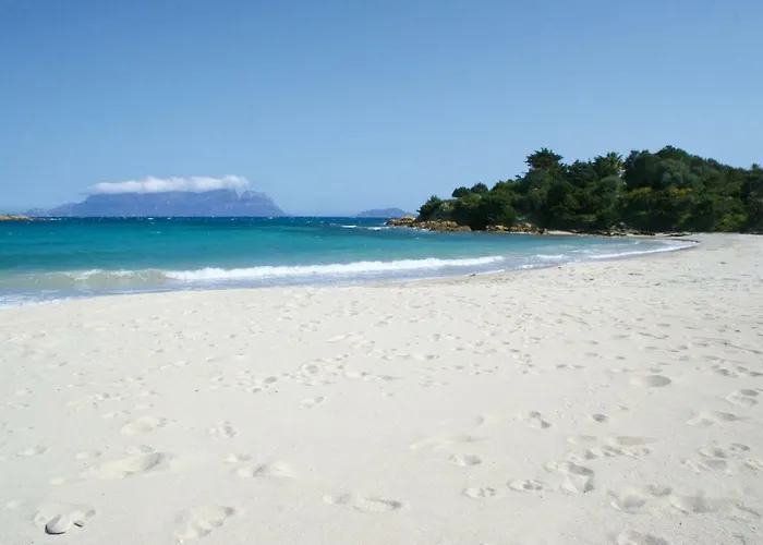 White House Luxury Hospitality 4*